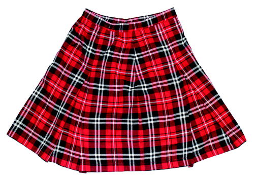 Junior's Plaid Skirt